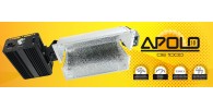  Apolo